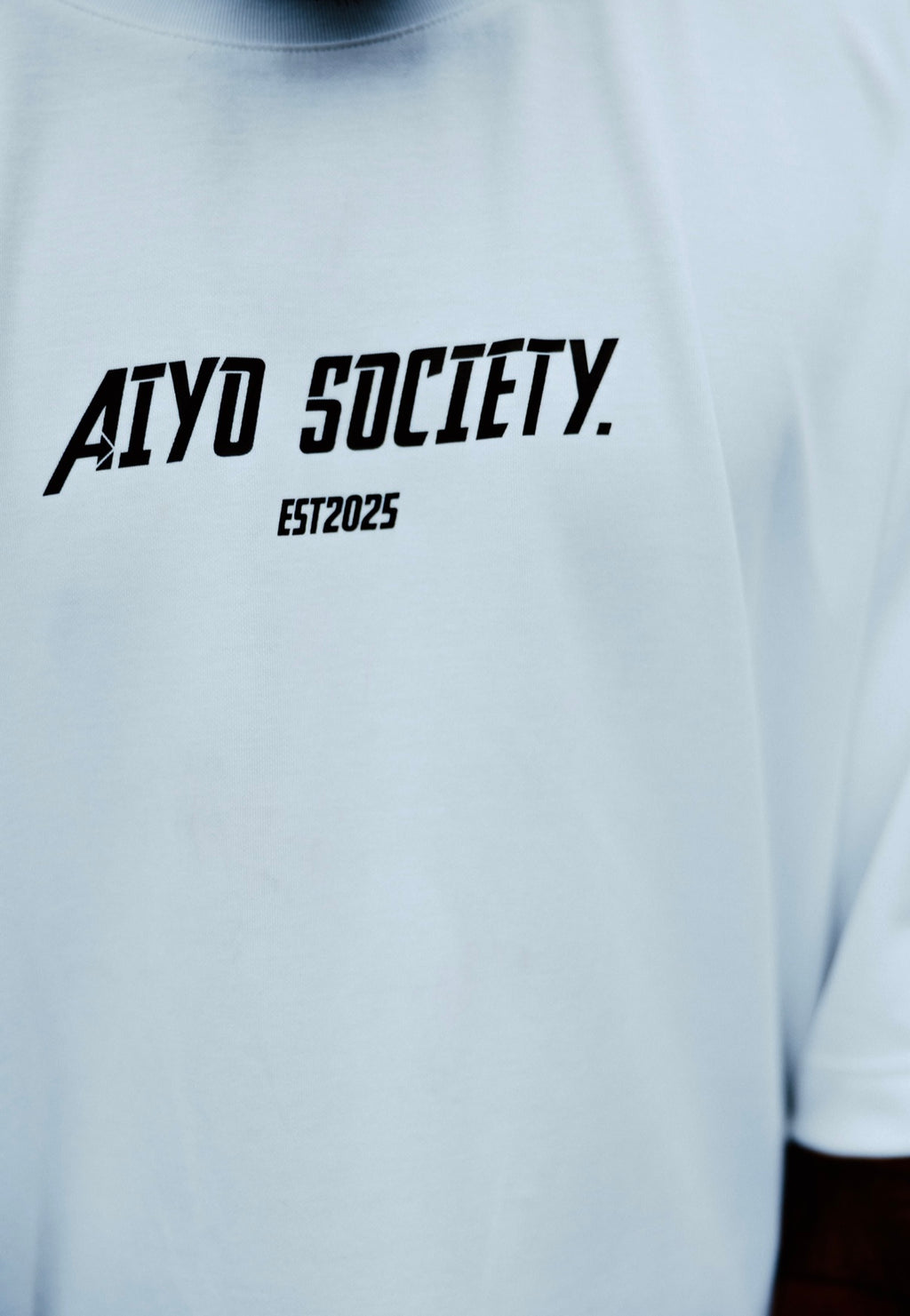 Guardian of Culture Oversized Tee